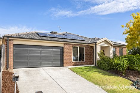 11 Chevy Ave, Drysdale, VIC 3222