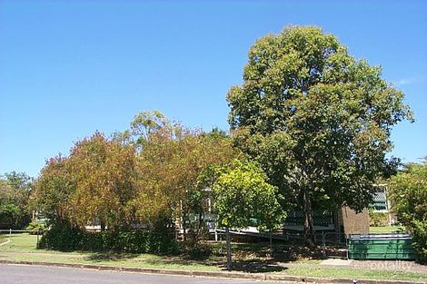 102 Chestnut St, Wynnum, QLD 4178