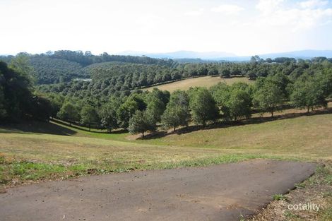 Property photo of 6 Munro Road Dunoon NSW 2480