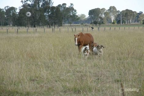 150 Tomki Bight Rd, Greenridge, NSW 2471