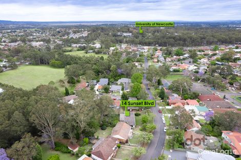 Property photo of 14 Sunset Boulevard North Lambton NSW 2299