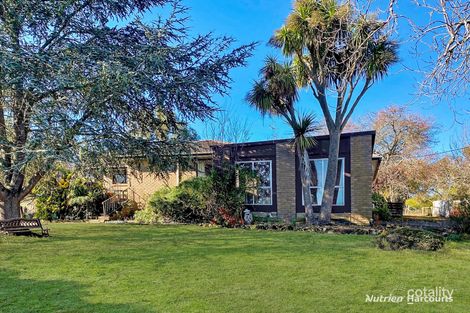 8 Levy St, Merino, VIC 3310