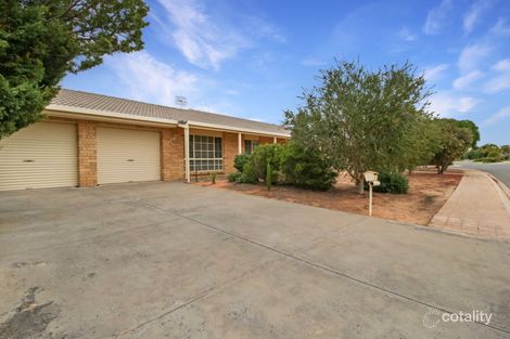 Property photo of 56 Meander Avenue Renmark SA 5341