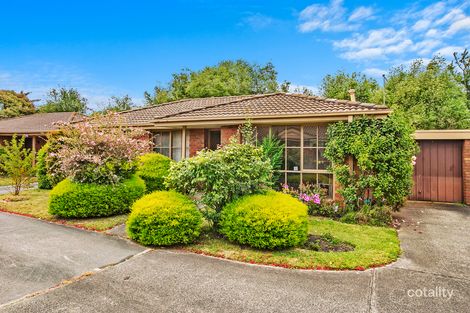 6/102 Victoria St, Hastings, VIC 3915