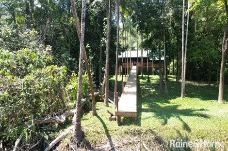 Property photo of 3198 Mossman Daintree Road Daintree QLD 4873