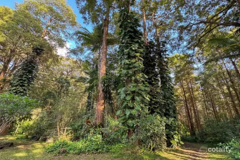 Property photo of 2 Dielhof Drive Wondecla QLD 4887