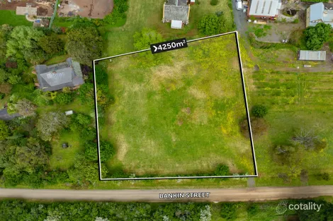 Property photo of 113 Bankin Street Learmonth VIC 3352