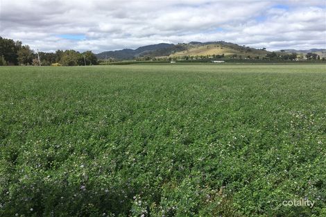 931 Castlereagh Hwy, Mullamuddy, NSW 2850