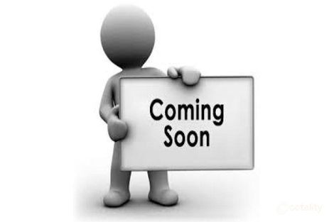 41 Buoro St, Ball Bay, QLD 4741