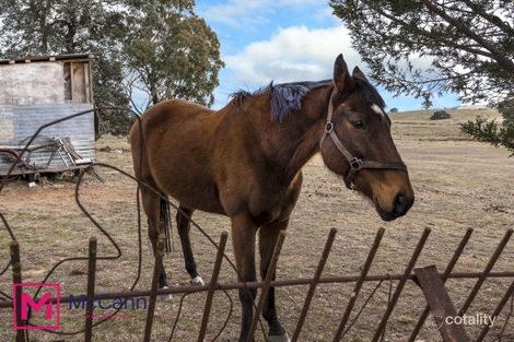 Property photo of 1178 Rye Park Road Dalton NSW 2581