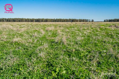 Property photo of 376 Yiddah Road Wyalong NSW 2671