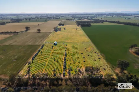 Property photo of 2986 Federation Way Rutherglen VIC 3685