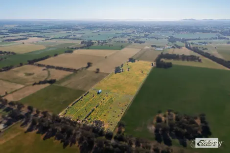 Property photo of 2986 Federation Way Rutherglen VIC 3685