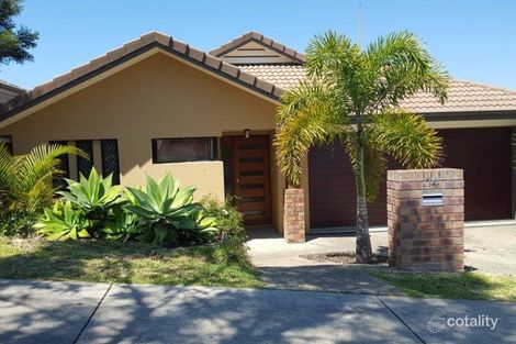Property photo of 14 Violet Avenue Springfield Lakes QLD 4300