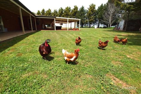 Property photo of 1025 Huntley Road Huntley NSW 2800