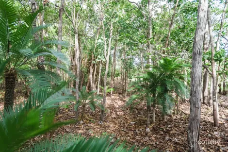 Property photo of 56 Dowling Road Virginia NT 0834