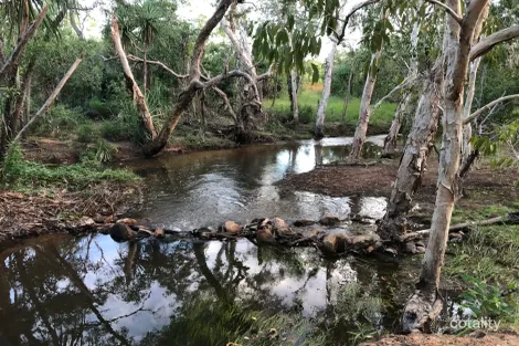 Property photo of 56 Dowling Road Virginia NT 0834