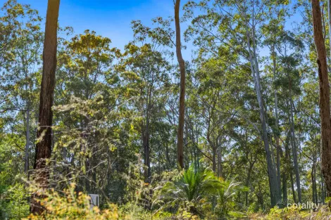 Property photo of 30 Clyde View Drive Long Beach NSW 2536
