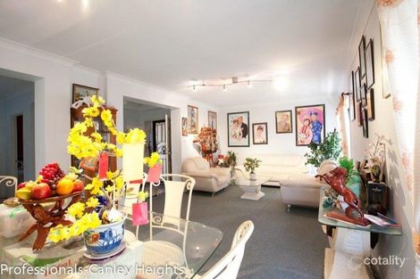 Property photo of 393 Elizabeth Drive Mount Pritchard NSW 2170