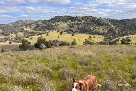 Property photo of Tarrants Gap Road Wyangala NSW 2808
