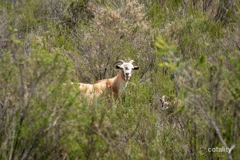 Property photo of 309 Andersons Road Hill End NSW 2850