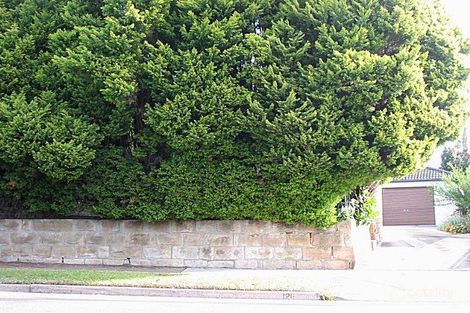 126 High St, North Willoughby, NSW 2068