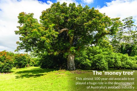 30 Kidd St, Tamborine Mountain, QLD 4272