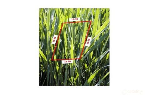 55 Waterside Dr, Waterways, VIC 3195