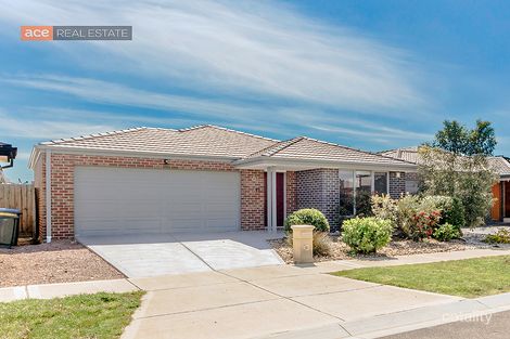Property photo of 24 Cutleaf Crescent Tarneit VIC 3029
