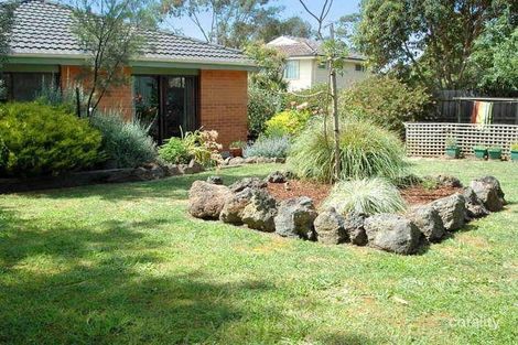 Property photo of 13 Argyle Street Donvale VIC 3111