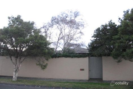 Property photo of 3 Wolseley Grove Brighton VIC 3186