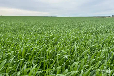 Lot 67 South Coast Rd, Tumby Bay, SA 5605