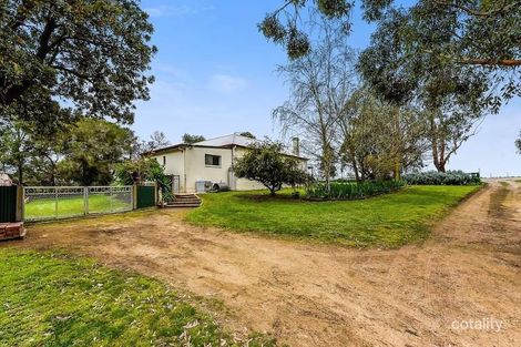 Property photo of 84 Buchanan Road Worrolong SA 5291