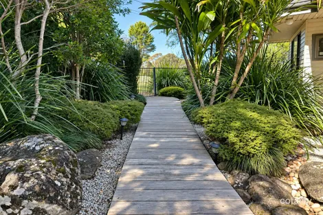 53 Myrtle St, Dorrigo, NSW 2453