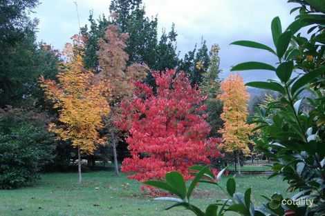 13 Pine Ct, Freeburgh, VIC 3741