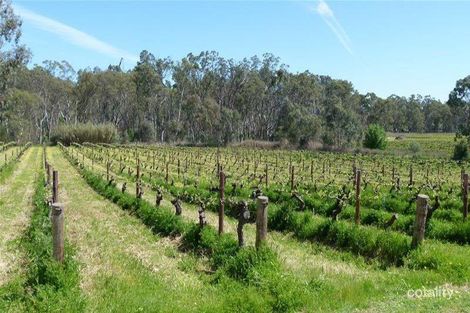 510 Murray St, Tanunda, SA 5352