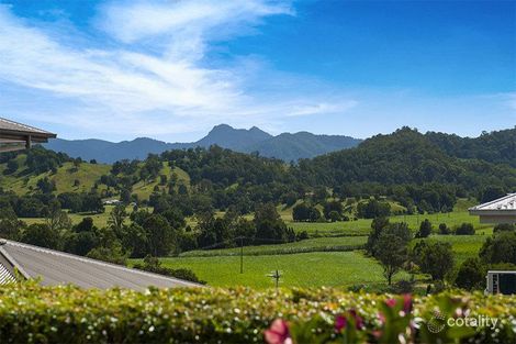 Property photo of 6 Saddle Way Murwillumbah NSW 2484