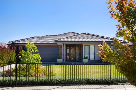 11 Sheoak St, Epsom, VIC 3551