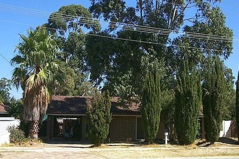 Property photo of 38 Warrandyte Drive Craigie WA 6025