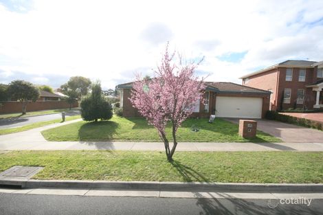 44 Somes St, Wantirna South, VIC 3152