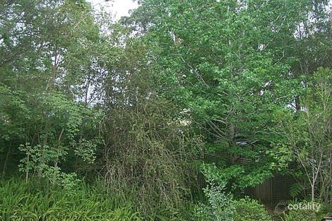 41 Church St, Bellingen, NSW 2454