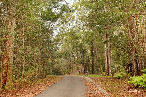 Property photo of 36 Platypus Creek Road Dulong QLD 4560