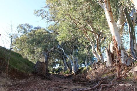 Property photo of 1 Stock Route Road Laura SA 5480