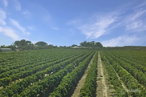 314 Costello Rd, Loveday, SA 5345