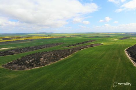 1896 Tooligie Hill Rd, Murlong, SA 5642