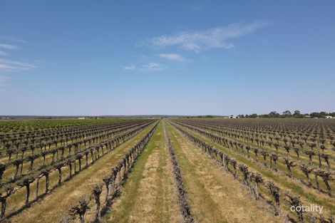 243 Smeeth Rd, Lake Wyangan, NSW 2680