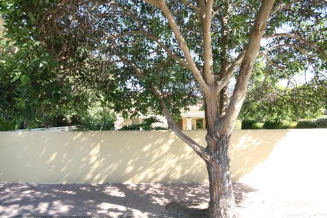 25 Orchard Ave, Everard Park, SA 5035