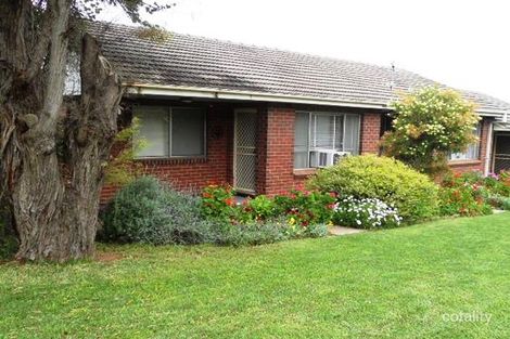 Property photo of 3/6 Wilson Street Kooringal NSW 2650