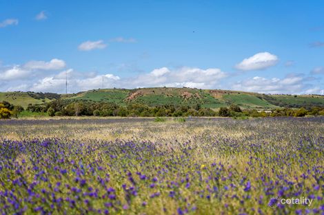 Property photo of 25 Trefusis Place Waggrakine WA 6530