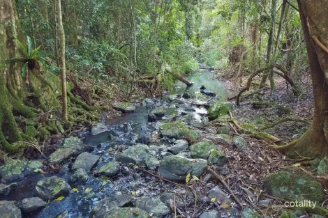 209 Billen Rd, Georgica, NSW 2480